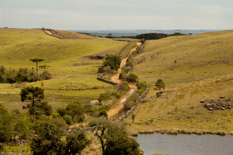 Corredor_de_Taipas_Coxilha_Rica_Lages_SC.jpg