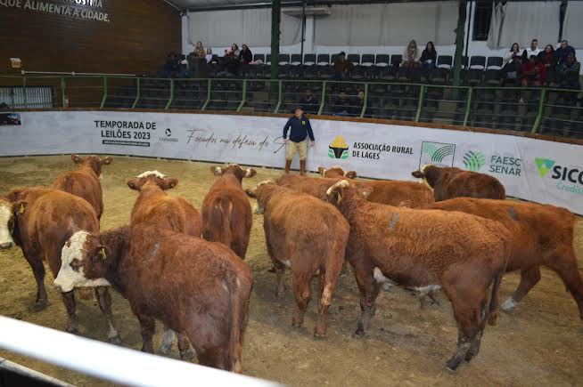 Feira de Gado Geral – Associação e Sindicato Rural de Lages 